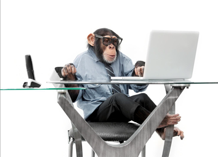 Monkey working.